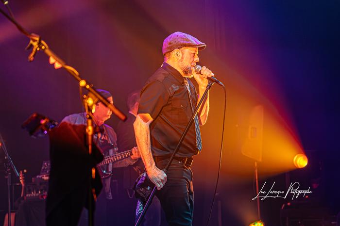 The Hip Trip en spectacle